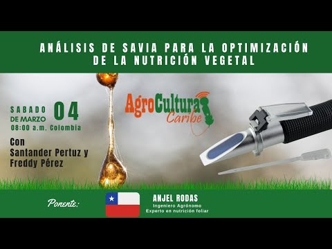LA MEDICIÓN DE LA SAVIA PARA OPTIMIZAR LA FERTILIZACIÓN