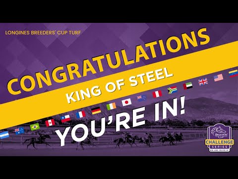 2023 QIPCO Champion Stakes - King of Steel