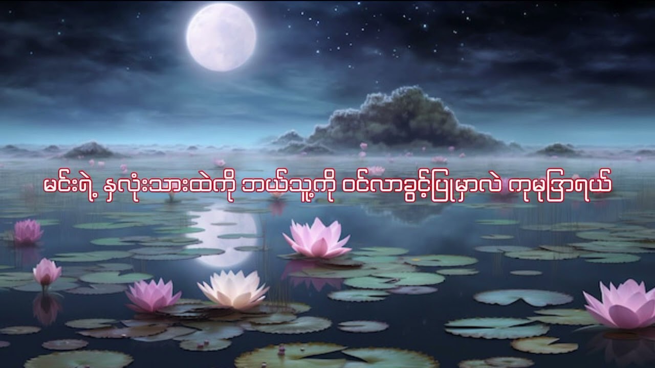 Moonlight over the lotus pond (mmsub)