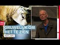Schapen sterven door blauwtong & cel voor brute doodslag | Drenthe Nu