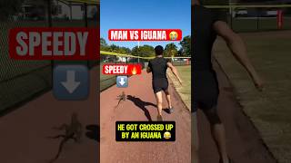 Iguana broke his ankles 😭