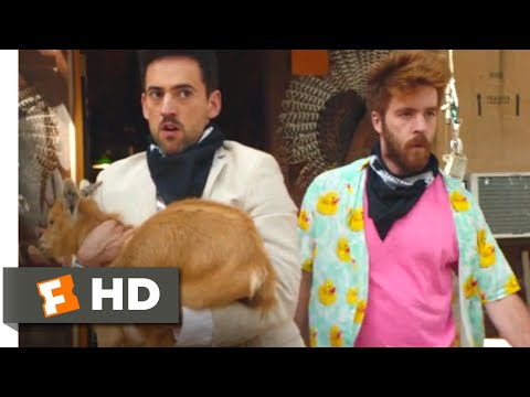 Half Brothers (2020) - Saving the Goat Scene (8/10) | Movieclips