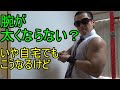 自宅でも余裕で太腕になる腕トレ