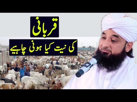 download lagu mp3 mp4 Niyat For Qurbani, download lagu Niyat For Qurbani gratis, unduh video klip Niyat For Qurbani