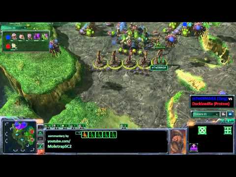 Starcraft 2: DIMAGA vs White-Ra Game 2 on Lost Temple (Part 1)