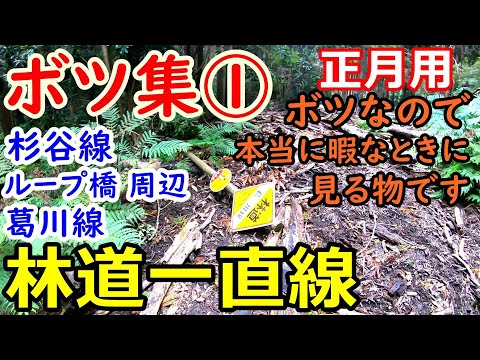 [Geradlinige Waldstraße] Abgelehnte Sammlung der Waldstraße Chiba ①