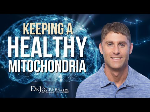 Keeping A Healthy Mitochondria