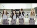 Scandal Pinheel Surfer HD