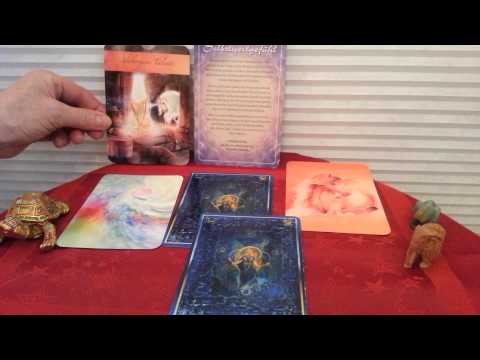 Engelbotschaft im Wochenorakel vom 8. -14. Deze