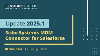 2025.1: Stibo Systems MDM Connector for Salesforce