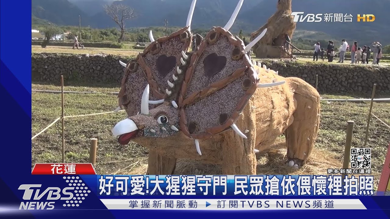 農田裡有恐龍!花蓮富里稻草藝術季登場 民眾搶著拍照打卡