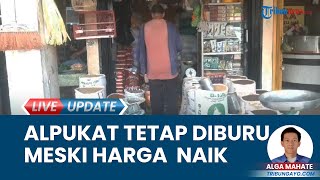Buah Alpukat Tetap Diburu Pembeli di Aceh Tengah meski Harganya Melambung Tinggi hingga Rp 30 Ribu