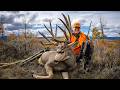 Two Huge Mule Deer Bucks Over 400 Of Antler