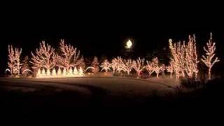Amazing Grace 2008 - Holdman Christmas Display