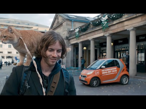 شاب مشرد عايش في الشارع بيقابل قطة بتغيرله حياته كلها A street cat named bob