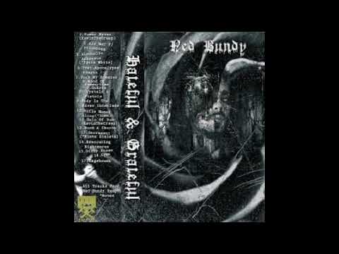 Ned Bundy - Halo Of The Sun (Prod. KevinTheCreep)