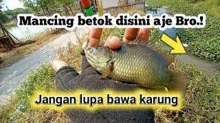 Download lagu Spot Mancing ikan betok terbaik diTeluk Naga Tangerang mp3