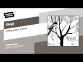 Thief - If There Was A Love