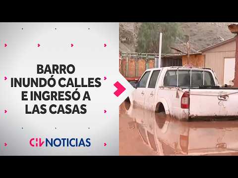 BARRO INUNDÓ TODO: Aluvión provocó estragos y destruye varias casas en El Tránsito, Atacama
