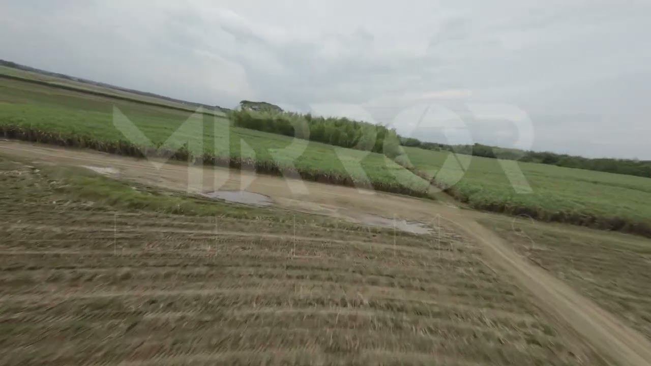 Cultivo de Caña FPV P1