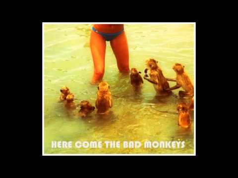 Barathon Lane - Here Come The Bad Monkeys (Official Audio)