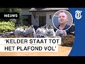 Nooddijk doorgebroken in Horn: ‘Dit is griezelig’