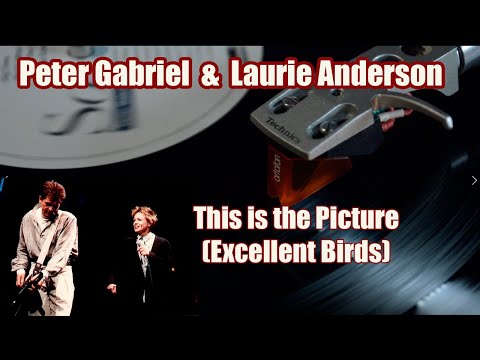 Peter Gabriel & Laurie Anderson: This is the Picture (Vinyl 180grm)