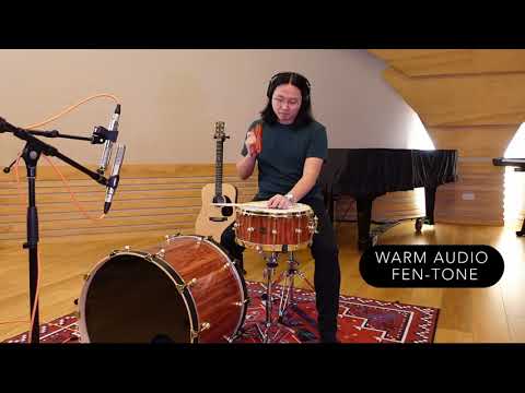 Comparison Video: Royer Labs R121 vs Warm Audio Fen-tone Ribbon Microphone