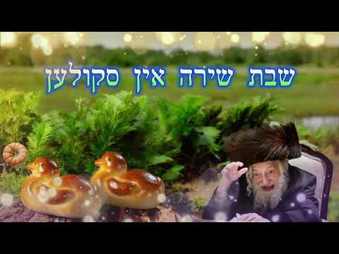 שַׁבָּת שִׁירָה אִין סְקוּלֶען • סט ניגוני סקולען לשבת שירה שנתחברו ע"י רבוה"ק מסקולען זצ"ל