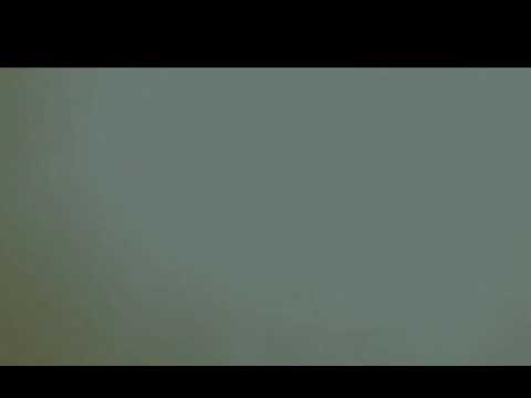 Xpert | Gangsta's Paradise