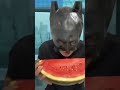 Bat man eats watermelon🤣😂🤣 #stevenuniverse #batman # funny