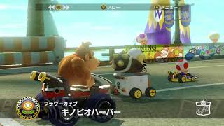 【マリオカート8DX】黄色ヨッシー　モートンの赤甲羅攻撃でやられる