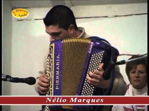 Acordeonistas Portugueses - Nelio Marques