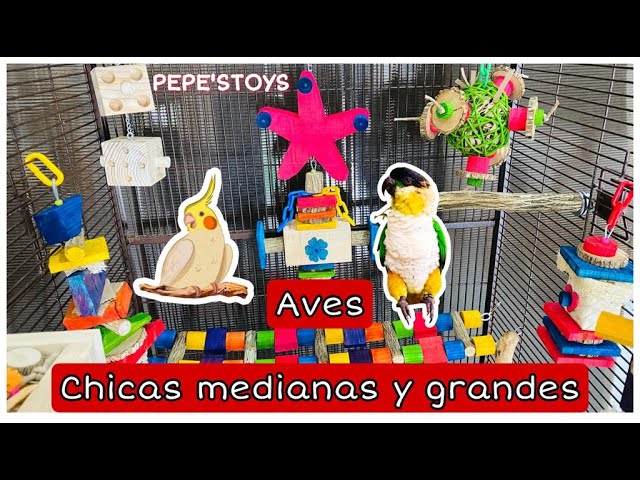 Vídeo relacionado con 6 pcs Pájaros de imitación con Plumas, Modelo de Pájaro Artificial Pluma Figura de pájaro pequeño Pájaros Arbolado para decoración de Plantas de Jardín Decoración en Miniatura Decoración Jaulas