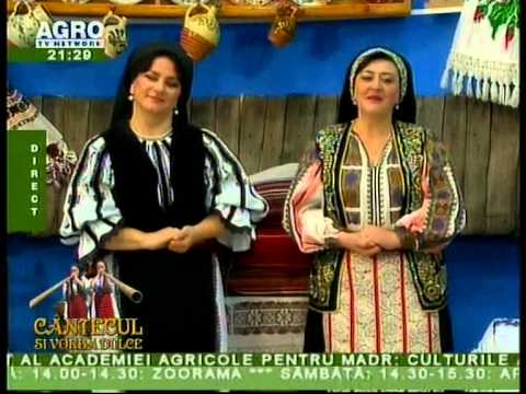 MARIA DAN PAUCEAN si LILIANA ONCIOIU - Frunza verde foi de tei