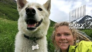 This Amazing Rescue Dog has RESCUED Multiple People | ALPHA