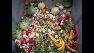 Video:  Questions about climate change