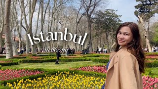 The Real Home of Tulips | Turkey Diary — Ankara and Istanbul