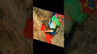 Download lagu Brij Shringar Shree Radha Rani mp3