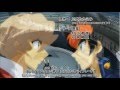 English Subbed Metal Fight Beyblade Zero G Opening