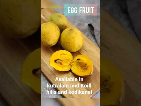 Egg fruit