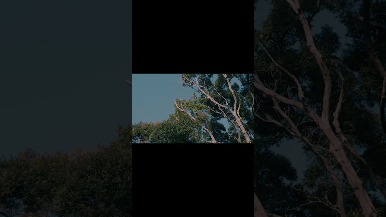 May Love Guide Your Way / #TAKURO