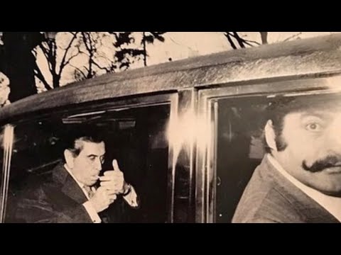 TOUT CE QUI BRILLE N'EST PAS D'OR ! 2