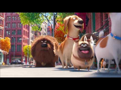 The Secret Life of Pets: Writer Brian Lynch Blu-ray/DVD Bonus Feature | ScreenSlam