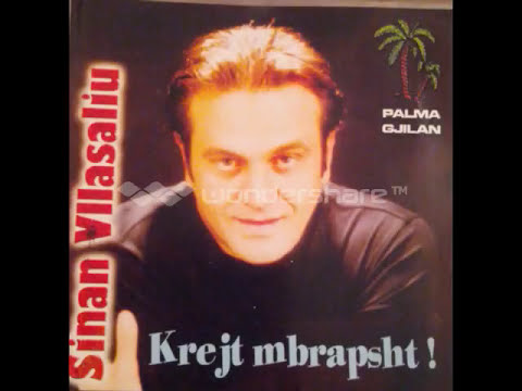 Sinan Vllasaliu - Udhetar i verber