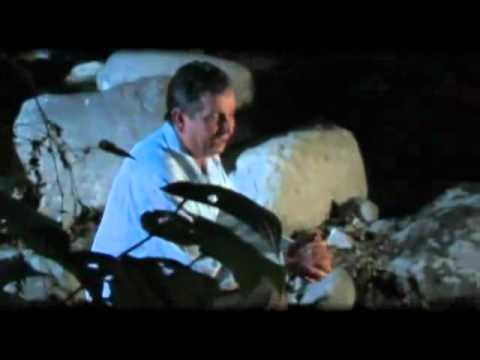 Tu y la Gente   Darío Gómez