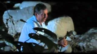 Tú Y La Gente Lyrics English Translation