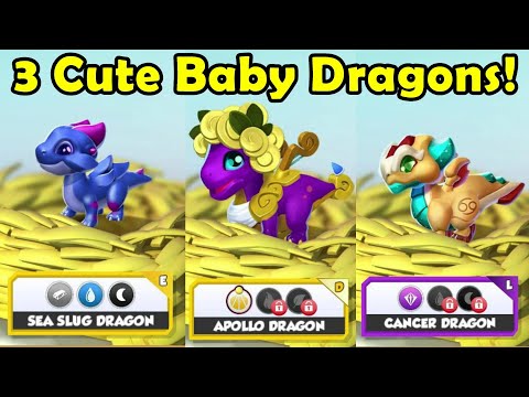 Hatching the SEAL SLUG, CANCER & APOLLO DRAGONS! Our 3rd APOLLO DRAGON IS FREE! - DML #1412