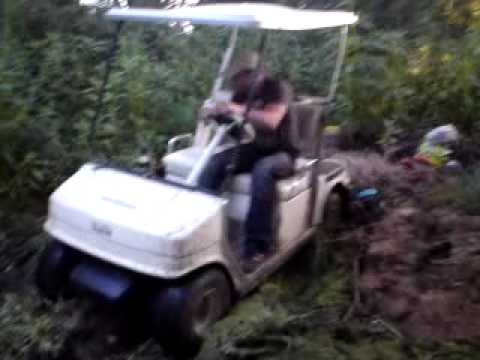 maler beim golfwagen fahren