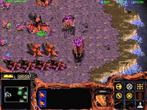 Let's Play Starcraft: Brood War - Part 20
